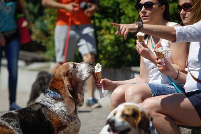 Ice Cream Van Serving Frozen Treats For Dogs