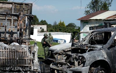 Hundreds of police, soldiers raid illegal logging camps on southern edge of Mexico City