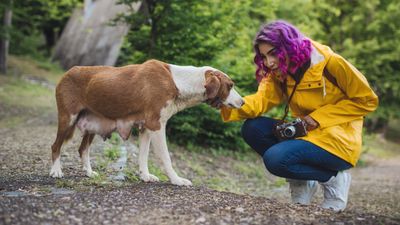 Dog trainer shares five key skills you need to create happier more enjoyable walks