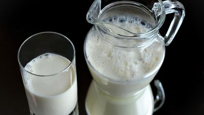 The curious case of lactose intolerance