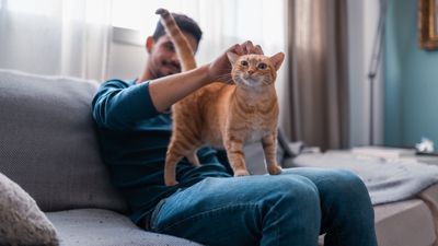 First time cat owner? Keep them happy and healthy with this behaviorist’s six tips