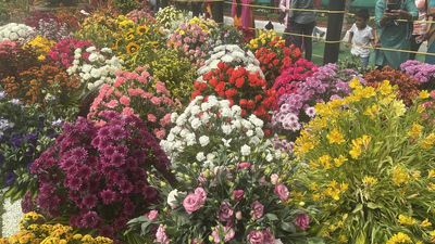 Ahead of Independence Day flower show in Bengaluru, parking restrictions around Lalbagh for 12 days
