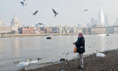 ‘Imperative we understand the impact’: scientists investigate surge in wild bird feeding during pandemic