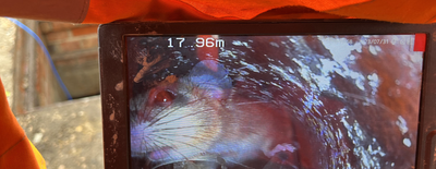 Town left without internet after rats bite through broadband cables