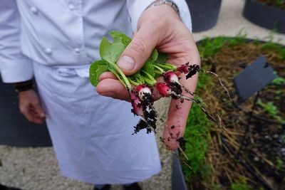 Jewish Community Flourishes In The Cayman Islands, Offering Synagogue And Kosher Cuisine