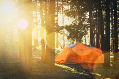 Best camping gear for hot weather: Top tents, hammocks and more