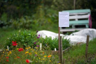 Duke’s allotment management was ‘dereliction by design’, inquiry told