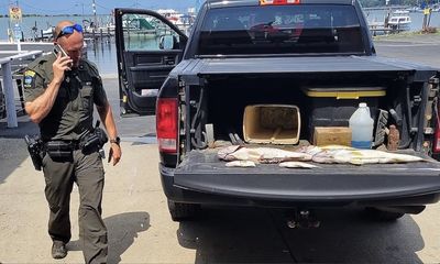 Another walleye fishing tourney marred by cheating scandal
