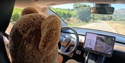 Tesla's Safety Software Allegedly Lets Stuffed Animals Use Full Self-Driving Beta