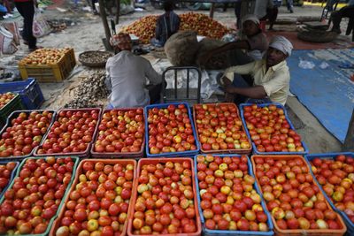 India’s wild price swings for tomatoes make and lose fortunes