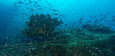 Why ASEAN nations need to jointly fund their fight against illegal, unreported and unregulated fishing
