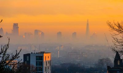 UK government ‘ignoring green watchdog’ over air quality rules