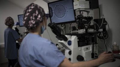 France seeks to meet record number of requests for assisted reproduction