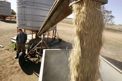 China to drop tariffs on Australian barley amid diplomatic thaw