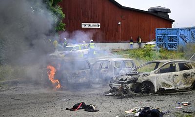 Dozens injured after protesters storm Eritrean festival in Stockholm