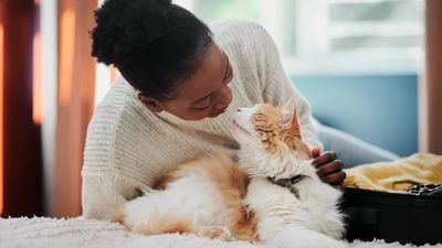 Five ways to show your cat you love them, according to a feline behaviorist