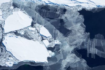 Antarctica has a lot less sea ice than usual. That's bad news for all of us