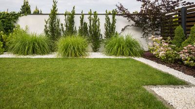 'So much neater' - 10 lawn edging ideas to add a professional finish to your backyard