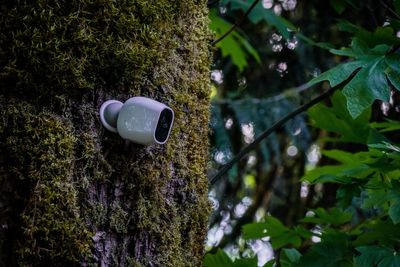 Best outdoor security cameras without a subscription