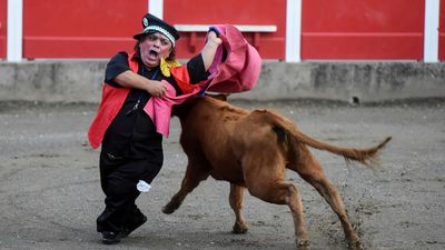 After Spanish ban, dwarf bullfighters take show to France