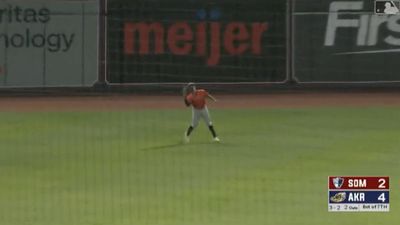 Yankees' Anthony Seigler is ambidextrous catcher/outfielder (video)