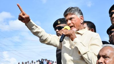 Punganur violence: Chandrababu Naidu points finger of blame at Peddireddi, demands thorough probe