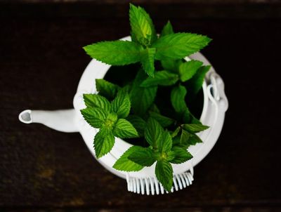 Peppermint Oil Aromatherapy May Ease Pain After Heart Surgery: Study