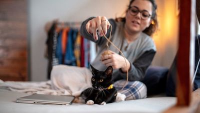 Are you playing with your cat right? Behaviorist reveals the most enriching ways to play with your feline friend