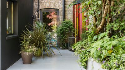 Why is my deck paint peeling? Experts pinpoint the problems – and the solutions