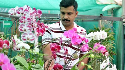 Wayanad farmer sets a model for conservation of wild orchids