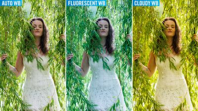 Understanding your camera's white balance (and when to change it)