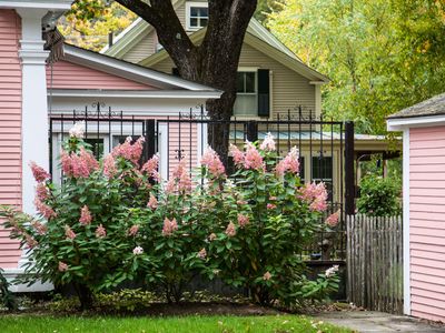 5 colorful front yard plants to immediately make your home more beautiful