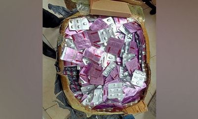 Medicines worth Rs 75 lakh seized at Delhi airport