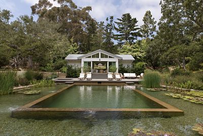 5 "natural swimming pools" I'd love to dive into – they're the brilliant alternative for a more organic-feeling backyard