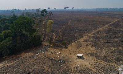 Look at the crisis in the Amazon and understand the stakes: we’re battling for life itself