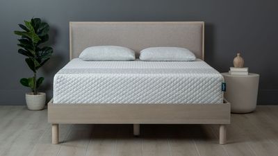 Leesa Sapira Hybrid mattress review 2025: A comfy and quiet night's sleep for couples