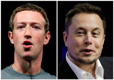 Musk says his cage fight with Zuckerberg will be streamed on X
