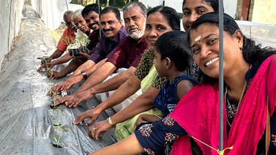 Cultivation of tomatoes based on Israeli model of agriculture begins