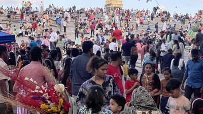 Flower show at Lalbagh draws more than 90,000 visitors over weekend