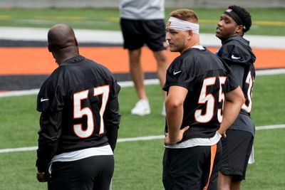 Chad Johnson joins Bengals for Logan Wilson's celebrity softball game