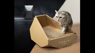 Tesla's wildest product is... a Cybertruck cat tray