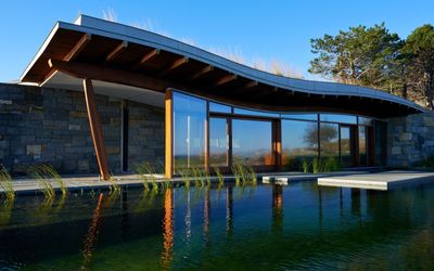 Natural pool ideas – 8 lessons we've learned about these beautiful backyard features that makes us want one even more