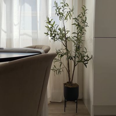 This simple yet genius hack makes an artificial olive tree look so realistic