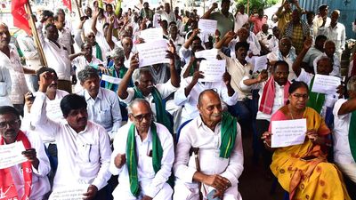 Farmers’ associations demand Andhra Pradesh govt. to provide input assistance, minimum support price