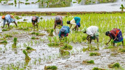 Tamil Nadu finishes on top in having highest amount of outstanding farm loans