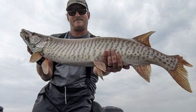 The latest muskies on southern Lake Michigan