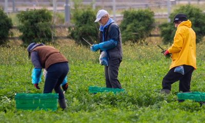 Unseasonably wet weather threatens UK harvest, say farmers