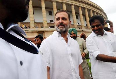 Happy day for Congress in Parliament: Rahul Gandhi’s disqualification revoked in Lok Sabha, Rajni Patil’s suspension repealed in Rajya Sabha