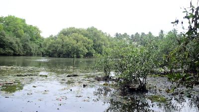 Locals express concern as Irrigation dept. floats new tender for de-silting of Kallai