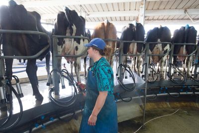 Fears for viability of farm businesses after Fonterra's $5b blow to economy